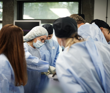 A year full of activities: 2025, a period of growth and training at IBSA Iberia